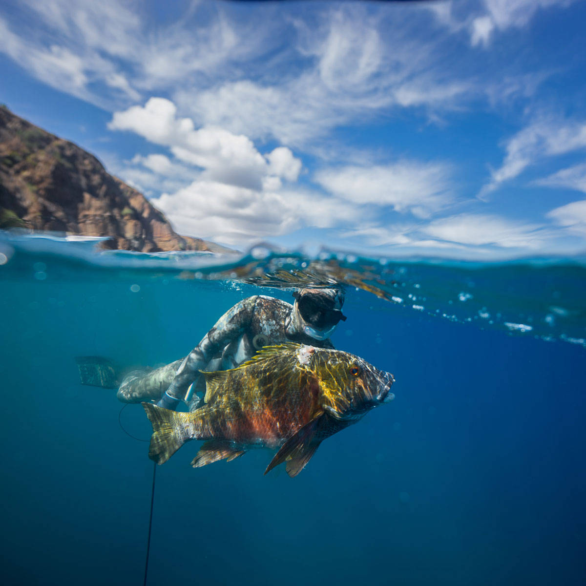 ΥΠΟΒΡΥΧΙΟ ΨΑΡΕΜΑ